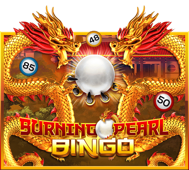 slotx24 bingo